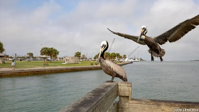 230 Cut Off #217 Port Aransas, TX 78373