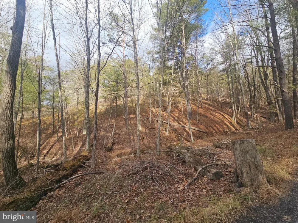 211 MARTIN ROAD Artemas, PA 17211