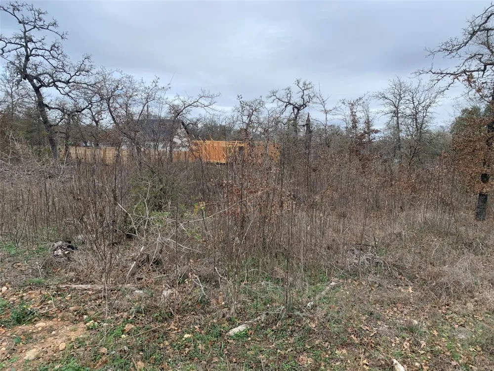 Chickasaw Smithville, TX 78957