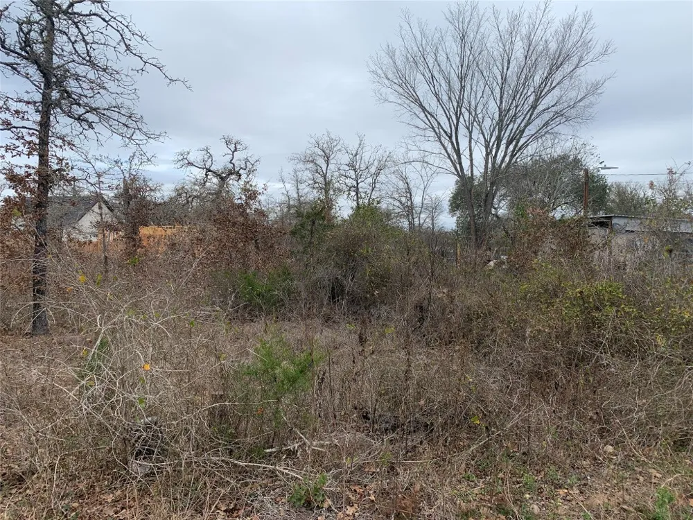 Chickasaw Smithville, TX 78957