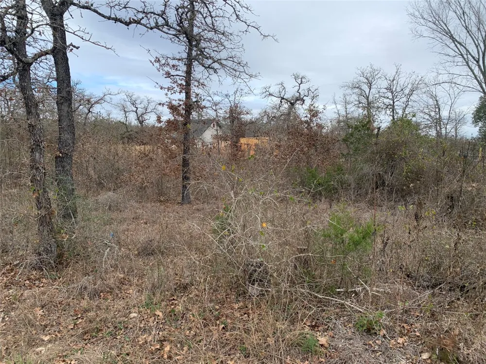 Chickasaw Smithville, TX 78957