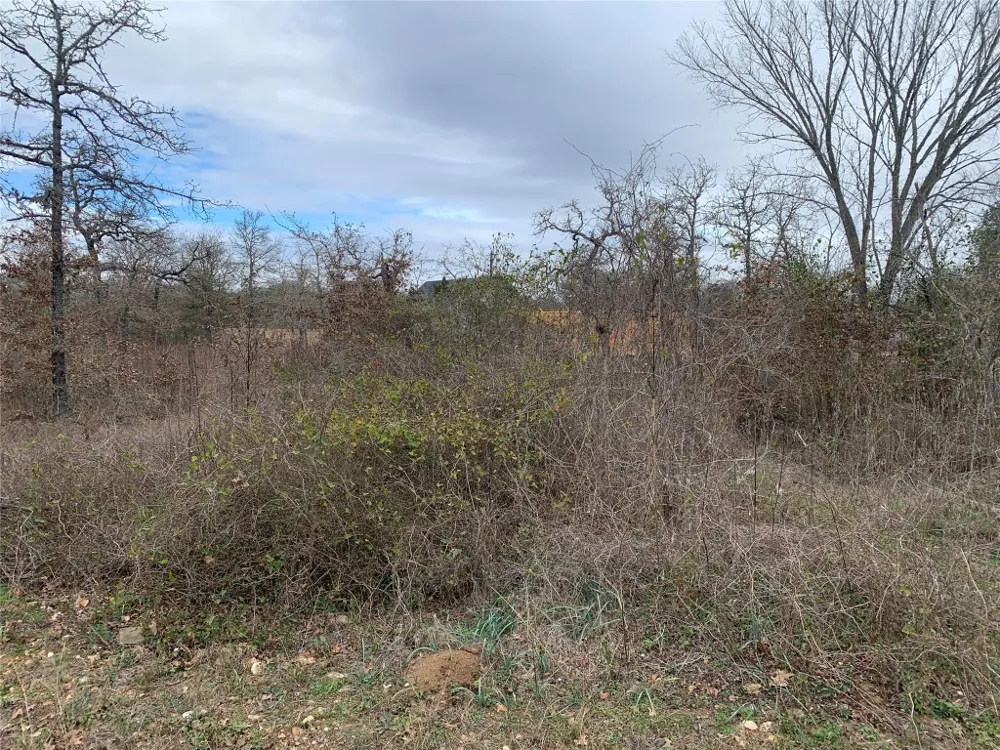 Chickasaw Smithville, TX 78957