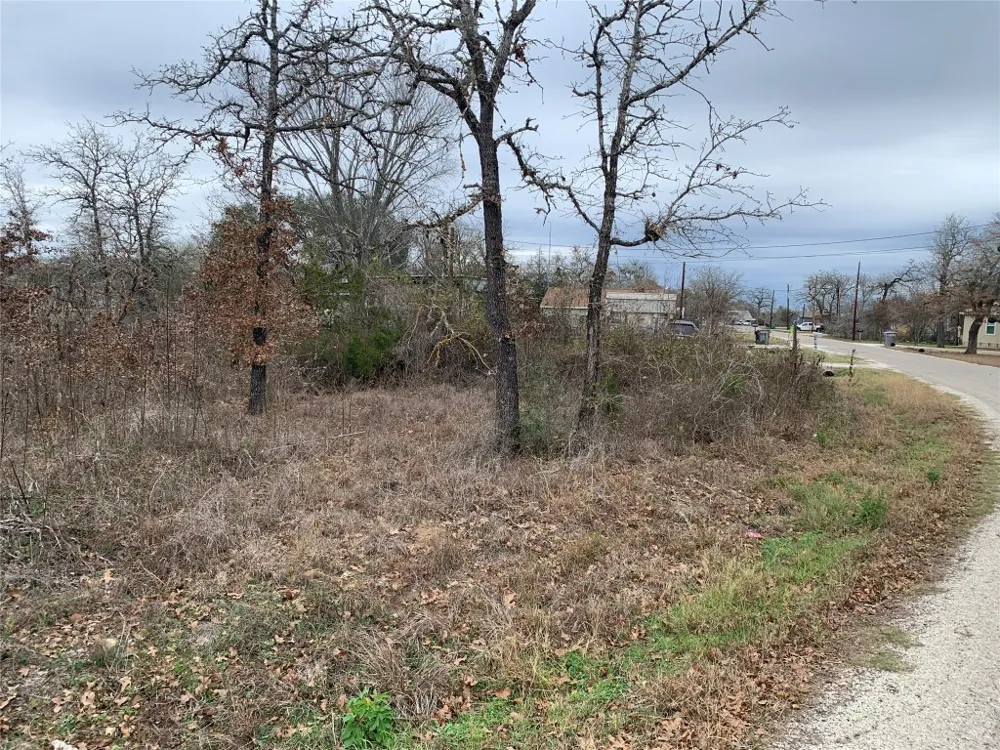 Chickasaw Smithville, TX 78957
