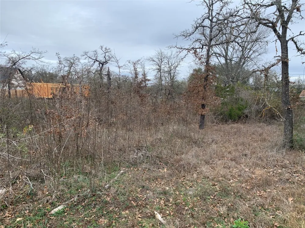 Chickasaw Smithville, TX 78957