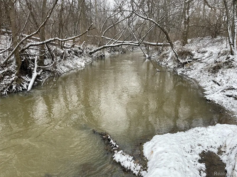 Grand Blanc Road Gaines Township, MI 48436