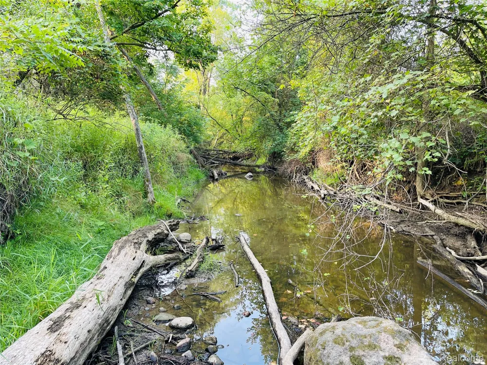 Grand Blanc Road Gaines Township, MI 48436