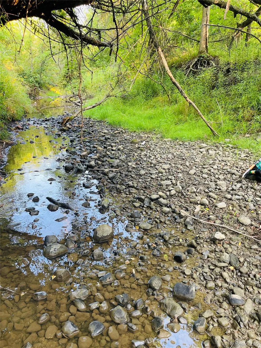 Grand Blanc Road Gaines Township, MI 48436