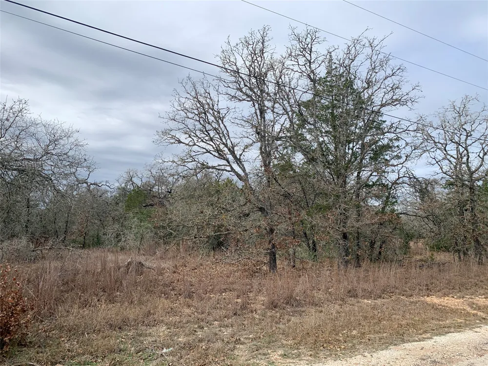 Peace Pipe/Buffalo Run Run Smithville, TX 78957