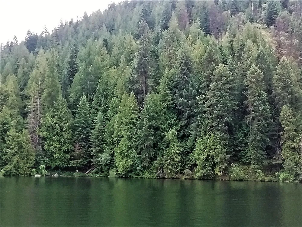 NKA(13 Ac) Upper Twin Lakes S. Shore Rathdrum, ID 83858