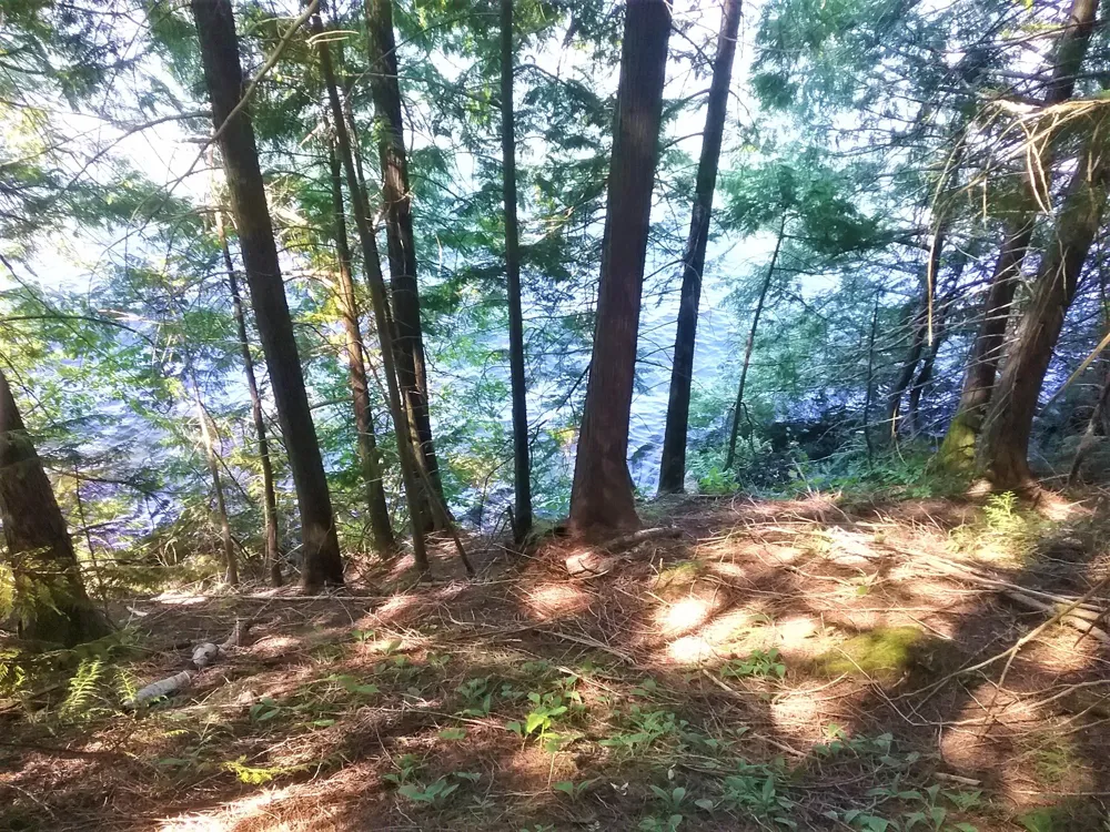 NKA(13 Ac) Upper Twin Lakes S. Shore Rathdrum, ID 83858