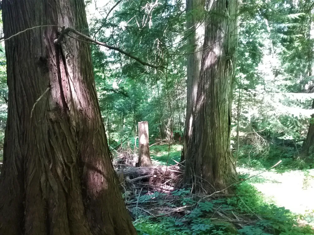 NKA(13 Ac) Upper Twin Lakes S. Shore Rathdrum, ID 83858
