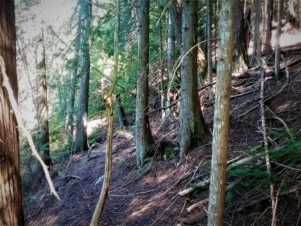 NKA(13 Ac) Upper Twin Lakes S. Shore Rathdrum, ID 83858