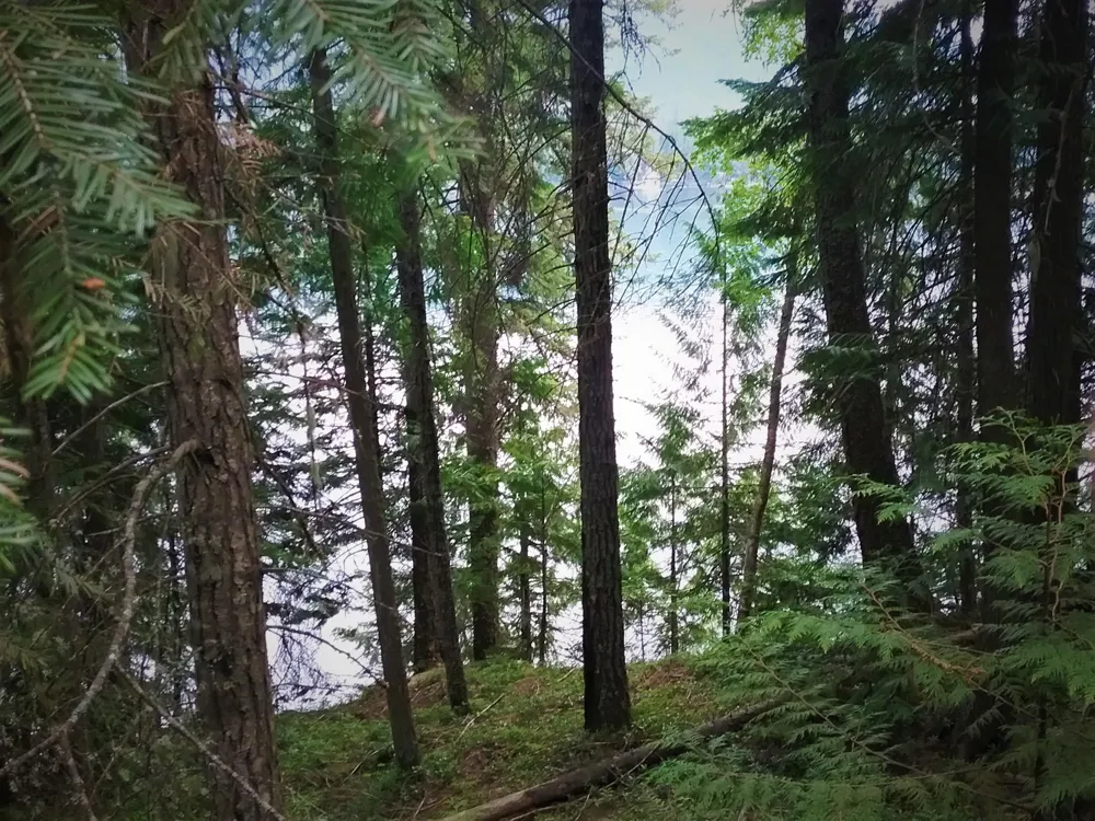 NKA(13 Ac) Upper Twin Lakes S. Shore Rathdrum, ID 83858