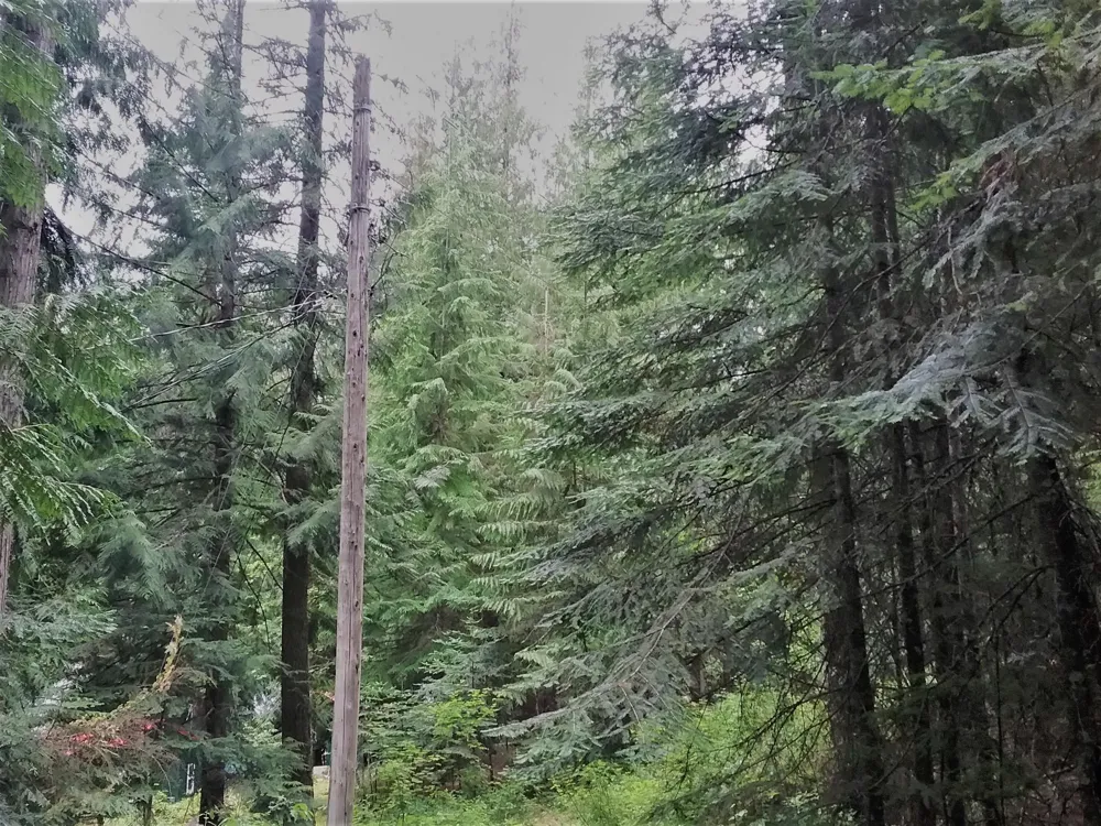 NKA(13 Ac) Upper Twin Lakes S. Shore Rathdrum, ID 83858
