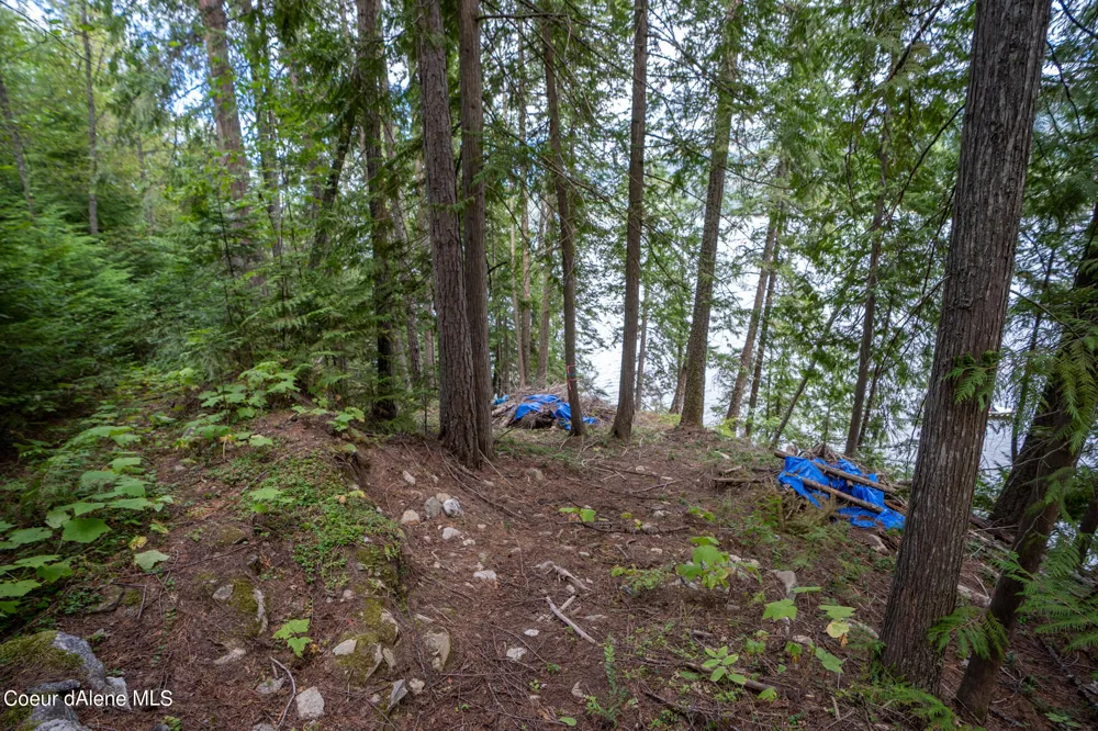 NKA(13 Ac) Upper Twin Lakes S. Shore Rathdrum, ID 83858