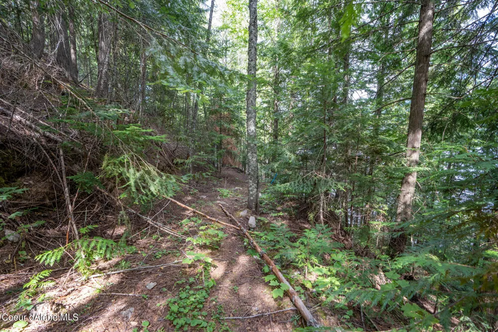 NKA(13 Ac) Upper Twin Lakes S. Shore Rathdrum, ID 83858