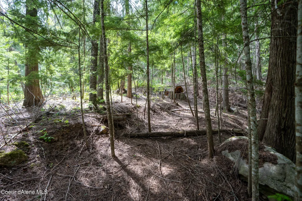 NKA(13 Ac) Upper Twin Lakes S. Shore Rathdrum, ID 83858