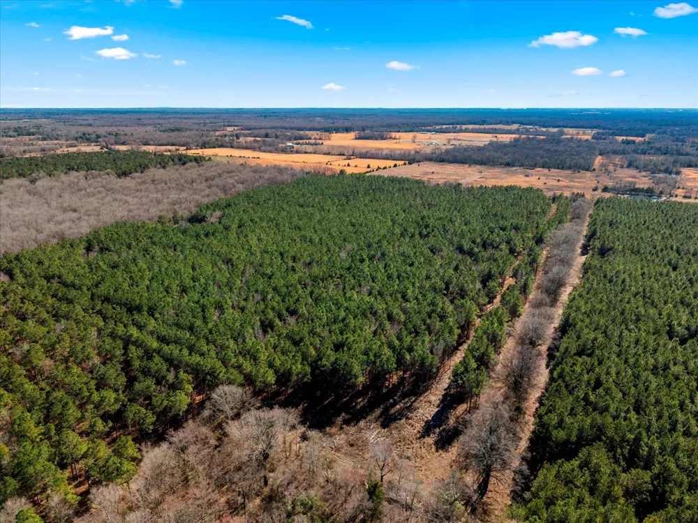 Cr-4316 De Kalb, TX 75559