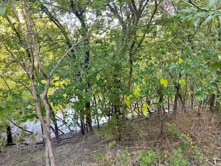 Harrell Road Howe, TX 75459