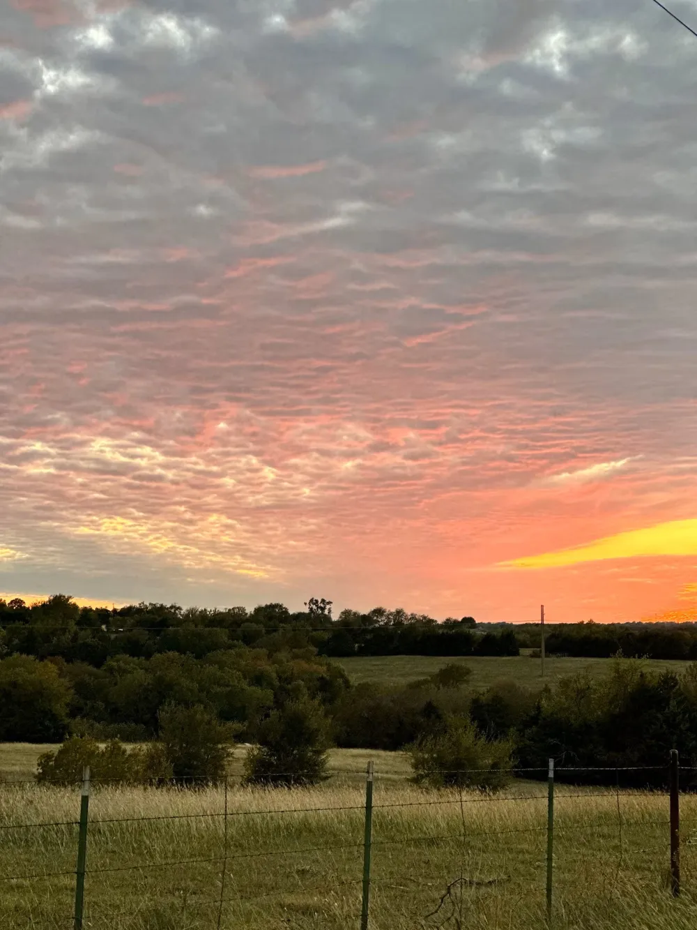 Harrell Road Howe, TX 75459