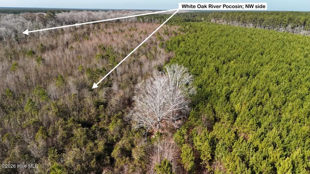 0 White Oak River Road Maysville, NC 28555