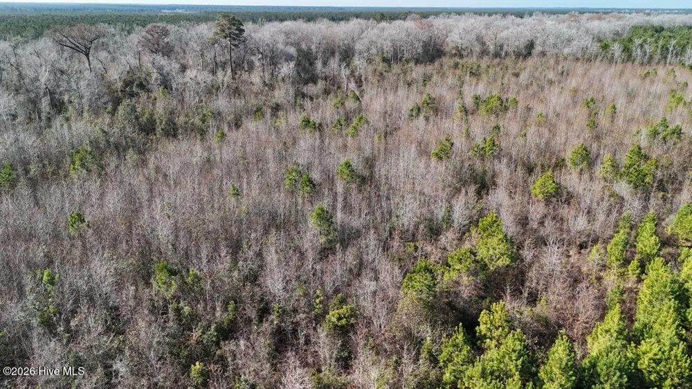 0 White Oak River Road Maysville, NC 28555