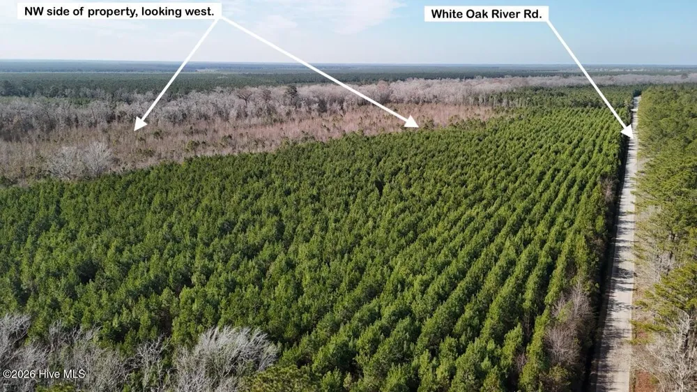 0 White Oak River Road Maysville, NC 28555