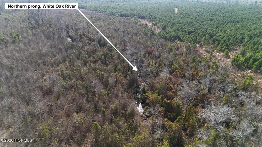 0 White Oak River Road Maysville, NC 28555