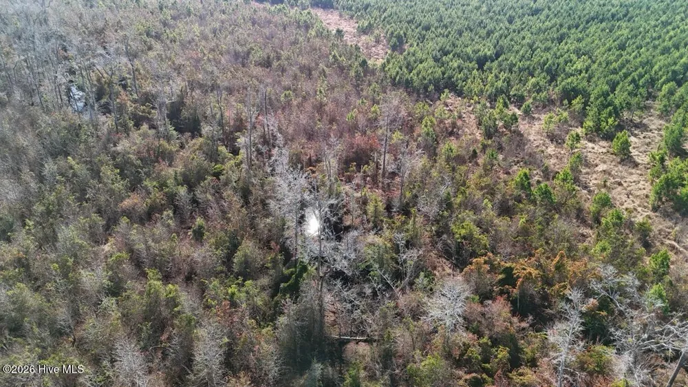 0 White Oak River Road Maysville, NC 28555