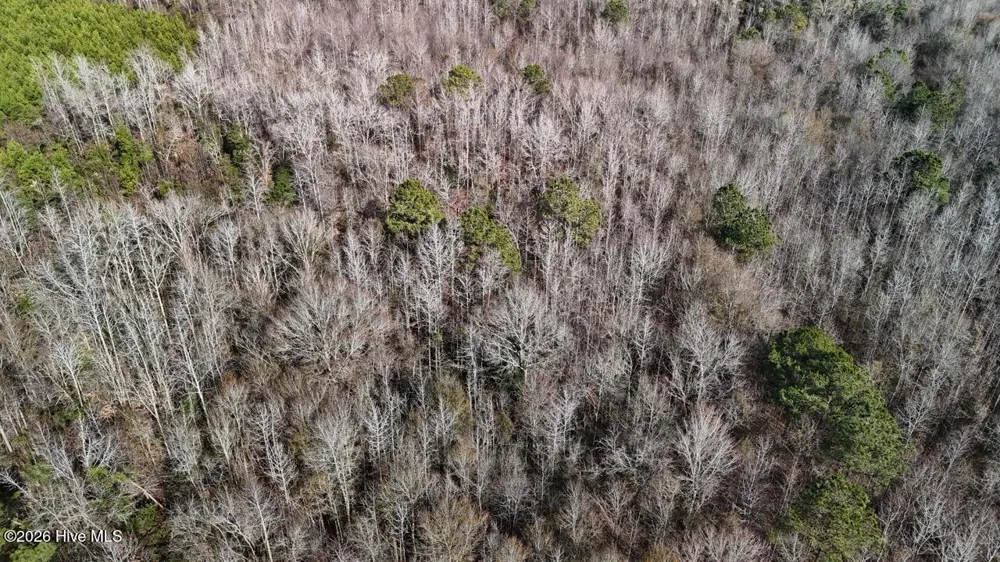 0 White Oak River Road Maysville, NC 28555