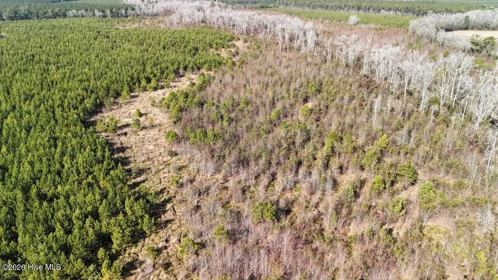 0 White Oak River Road Maysville, NC 28555