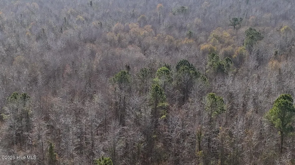 0 White Oak River Road Maysville, NC 28555
