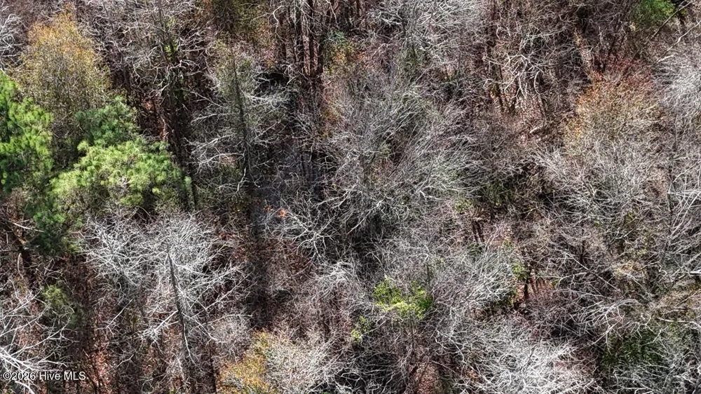 0 White Oak River Road Maysville, NC 28555