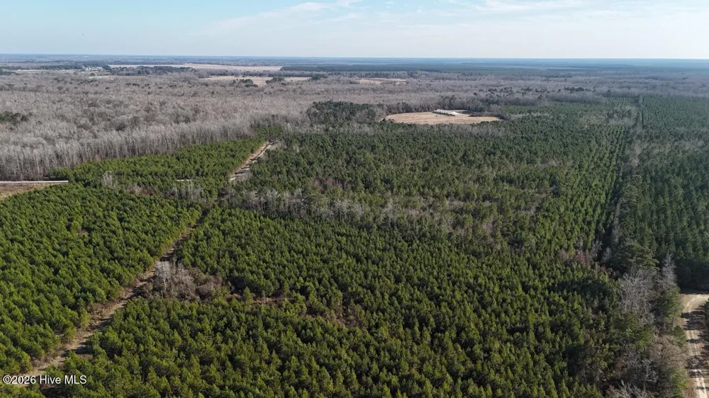 0 White Oak River Road Maysville, NC 28555