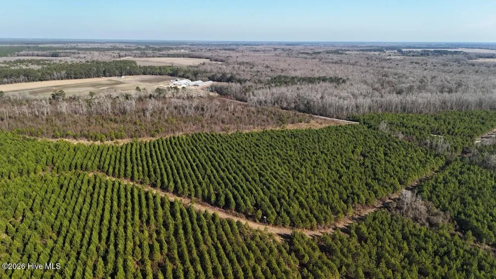 0 White Oak River Road Maysville, NC 28555