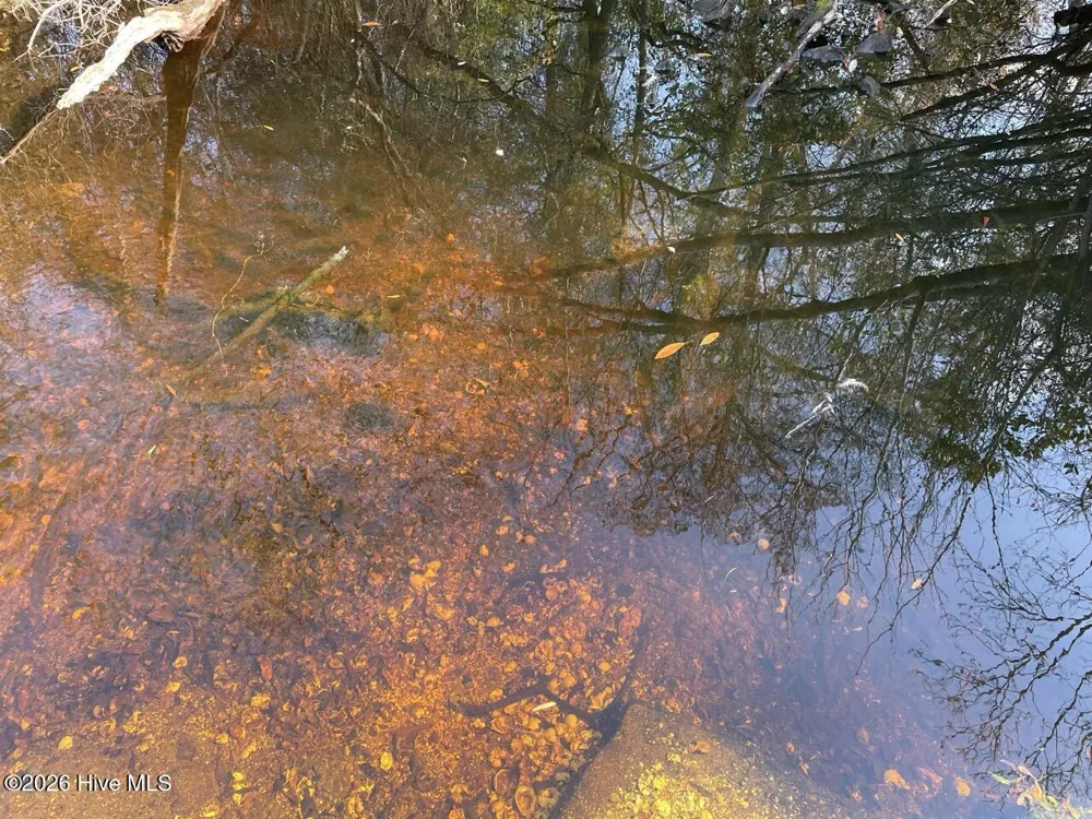 0 White Oak River Road Maysville, NC 28555