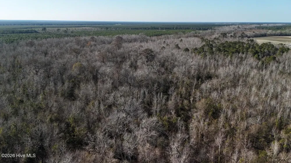 0 White Oak River Road Maysville, NC 28555