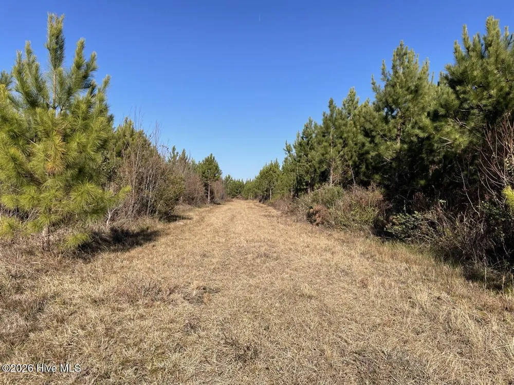 0 White Oak River Road Maysville, NC 28555