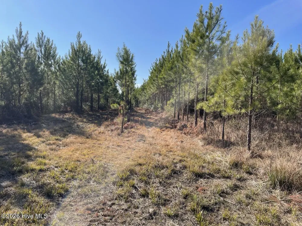 0 White Oak River Road Maysville, NC 28555