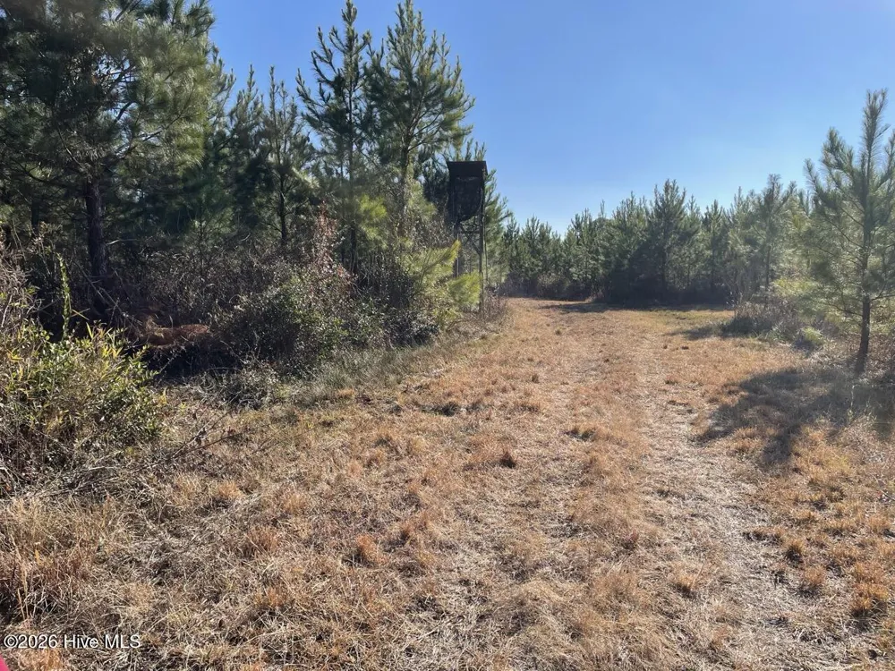0 White Oak River Road Maysville, NC 28555