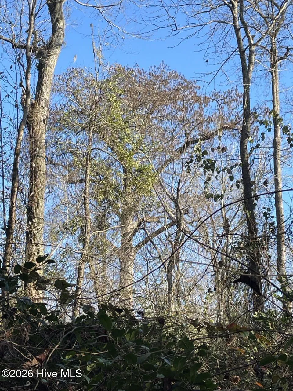 0 White Oak River Road Maysville, NC 28555