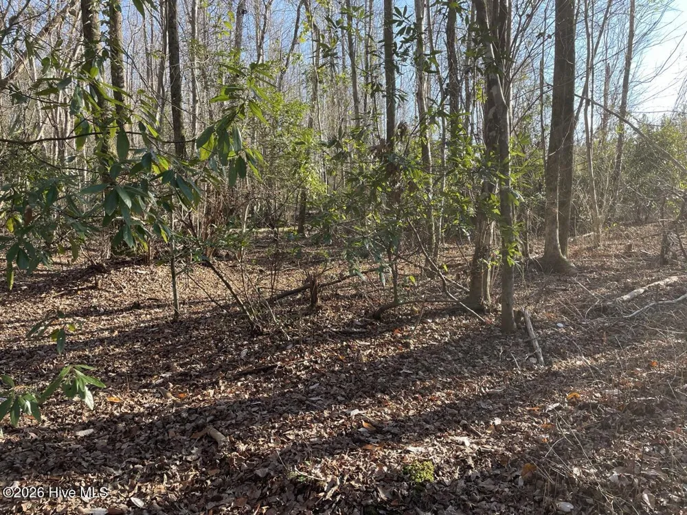 0 White Oak River Road Maysville, NC 28555