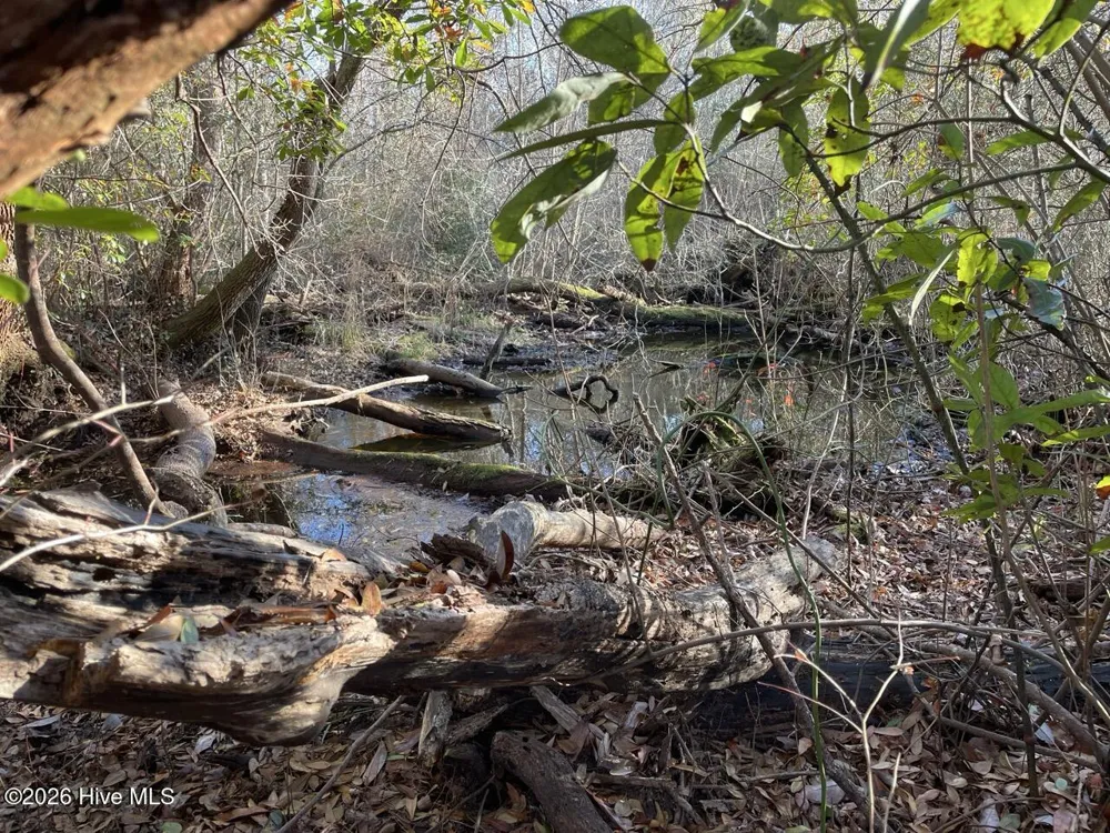 0 White Oak River Road Maysville, NC 28555