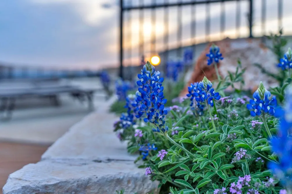 34 High Range Drive, Big Creek Ranch Kingsland, TX 78639