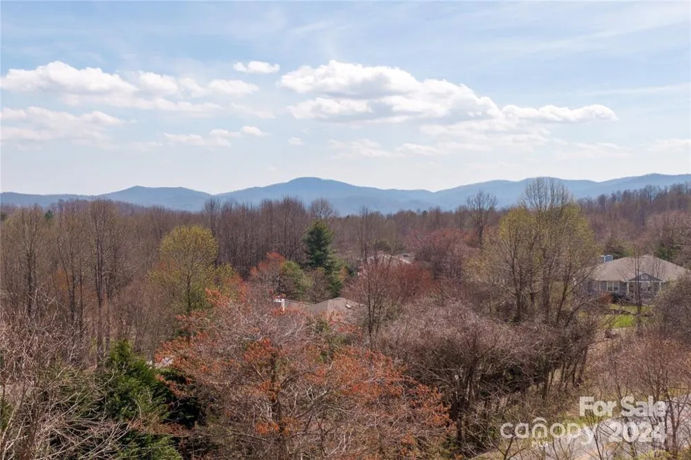 000 BERRY CREEK DRIVE Flat Rock, NC 28731