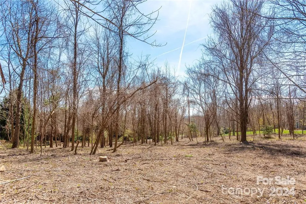 000 BERRY CREEK DRIVE Flat Rock, NC 28731