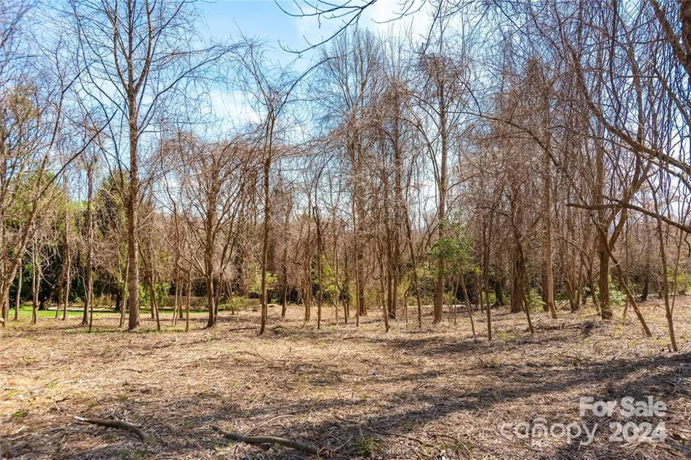 000 BERRY CREEK DRIVE Flat Rock, NC 28731