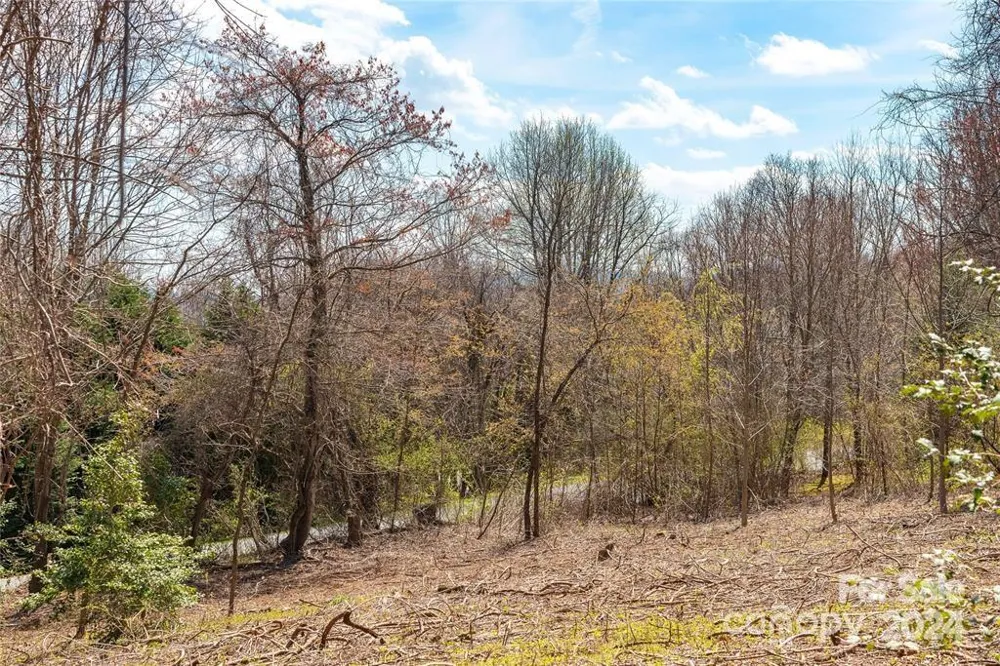 000 BERRY CREEK DRIVE Flat Rock, NC 28731