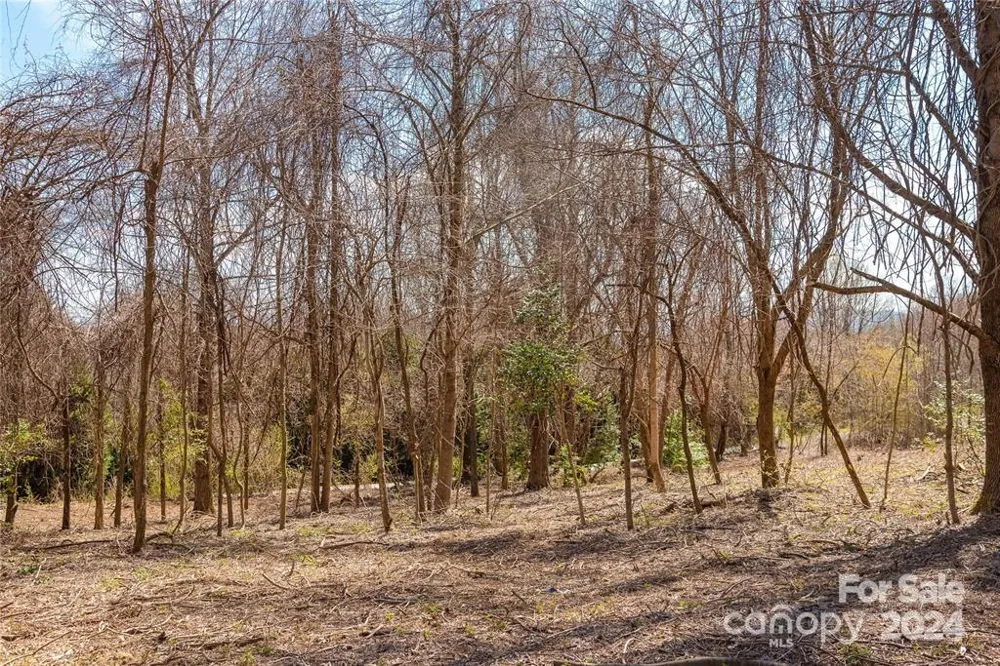 000 BERRY CREEK DRIVE Flat Rock, NC 28731