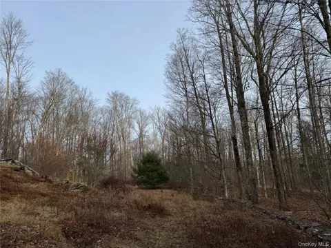 Hilltop Road